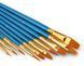 Кисти разной формы для рисования и творчества набор 10 штук WORISON A-PB-10b-blue фото 4