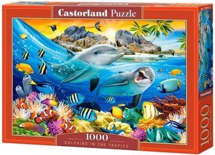 Пазл Дельфины в тропиках 1000 деталей Castorland C-104611 фото