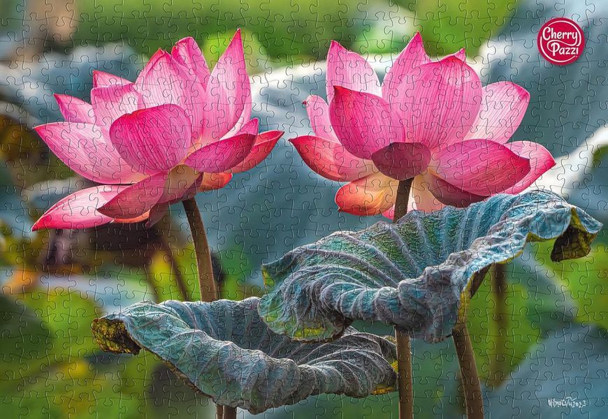 Пазл Розовые цветы лотоса 500 элементов CherryPazzi 20012 фото