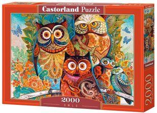 Пазл Сови 2000 деталей Castorland C-200535 фото